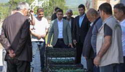 Genç`te üreticilere sebze fidesi dağıtıldı
