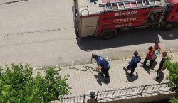 Bingöl merkezdeki bir sitede yılan paniği