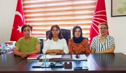 CHP Bingöl Kadın Kolları, Saliha Ozan cinayetinde Hükümete yüklendi