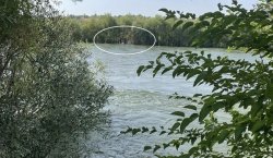 Bingöl`de piknik yapan aile ölümden döndü
