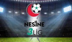 3. Lig`de kimler yükseldi, kimler düştü?